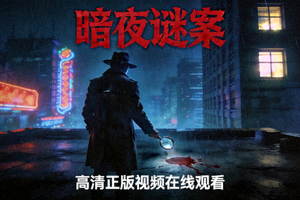 悬疑剧《暗夜谜案》海报 - 高清正版视频在线观看